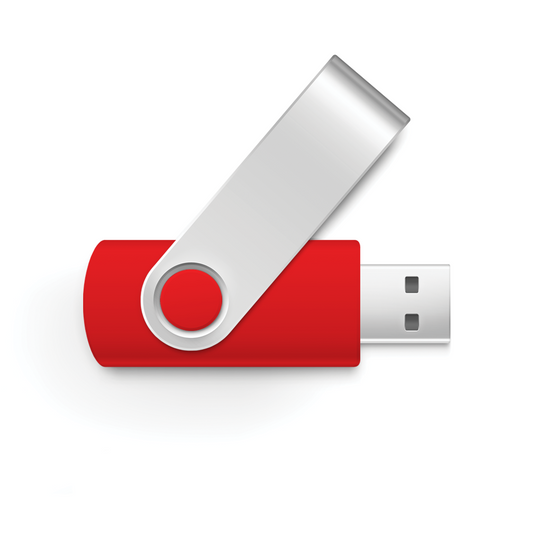 Software Update USB Flash Drive Dec 2020 (Version 0246) (SWU-GV3PP202012)